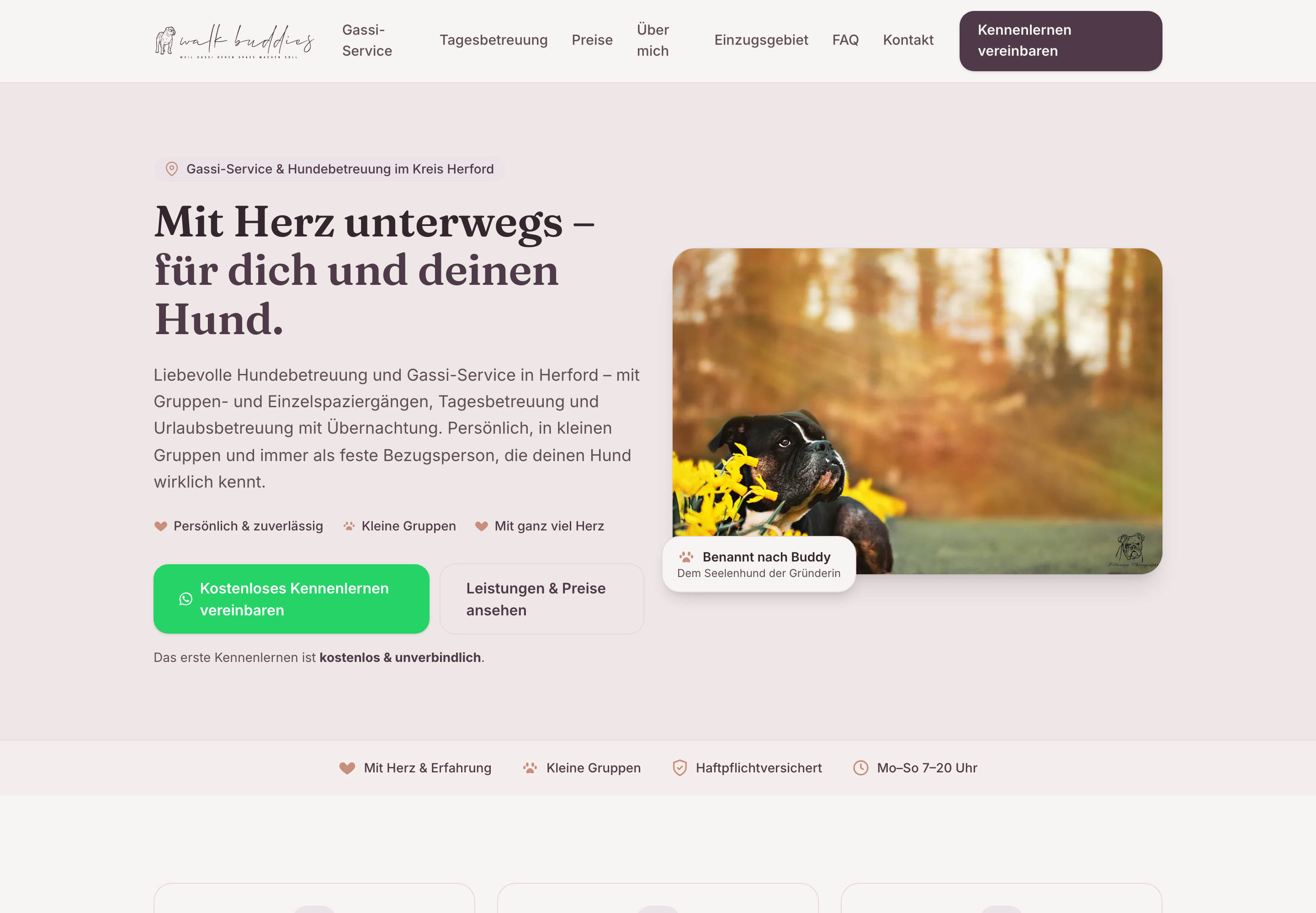 Startseite von Walk Buddies auf dem Desktop mit Claim, Leistungsmerkmalen und Kontakt-Schaltflächen