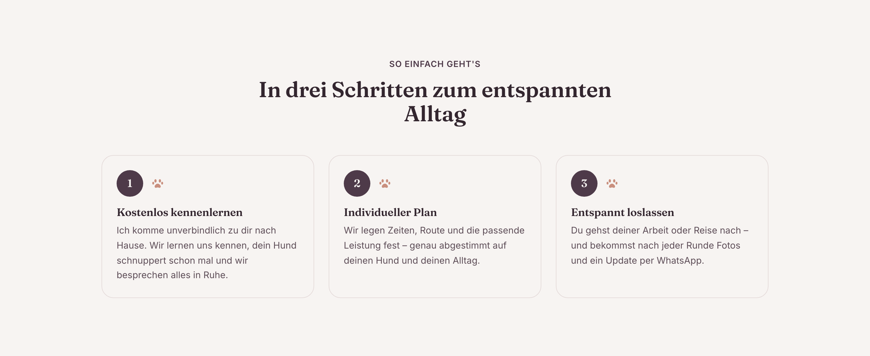 Dreistufiger Ablauf: kostenloses Kennenlernen, individueller Plan, feste Termine mit Foto-Update